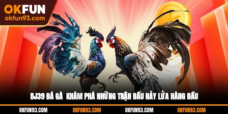 BJ39 Đá Gà - Khám Phá Những Trận Đấu Nảy Lửa Hàng Đầu