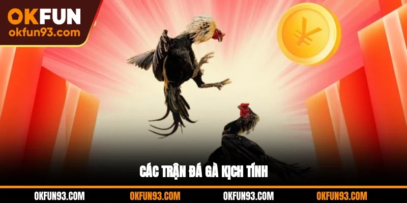 Các trận đá gà kịch tính