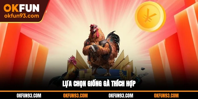 Lựa chọn giống gà thích hợp