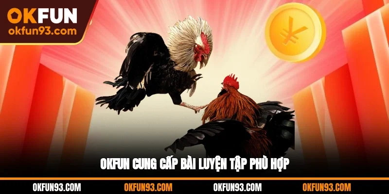 OKFUN cung cấp bài luyện tập phù hợp