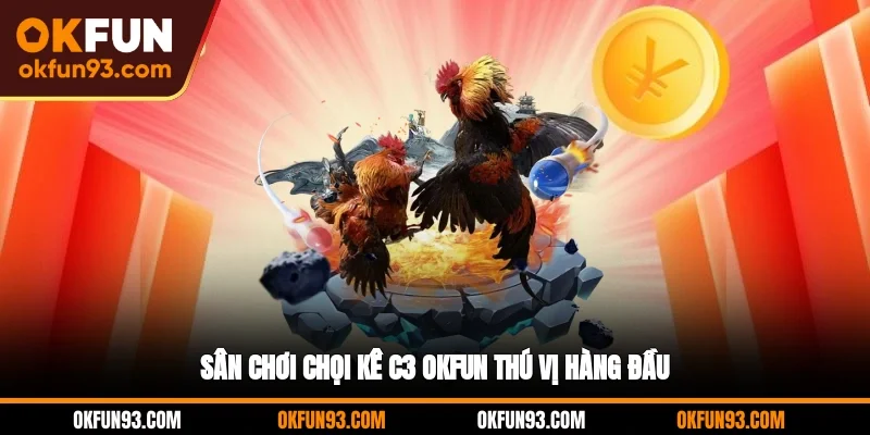Sân chơi chọi kê C3 OKFUN thú vị hàng đầu