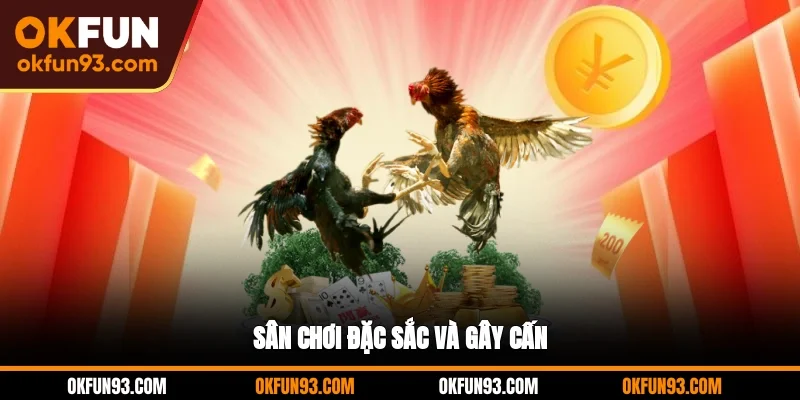 Sân chơi đặc sắc và gây cấn