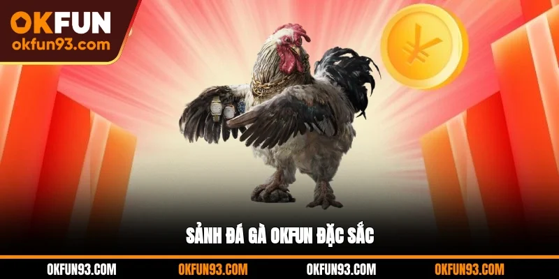 Sảnh đá gà OKFUN đặc sắc